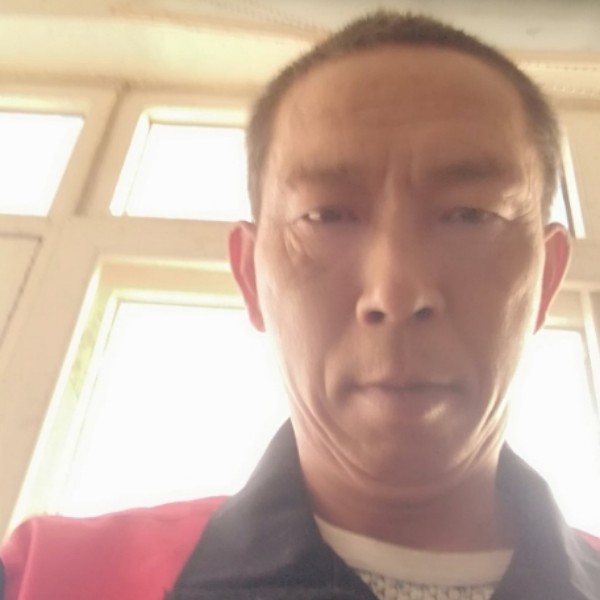 温柔倾心飞鸟的照片