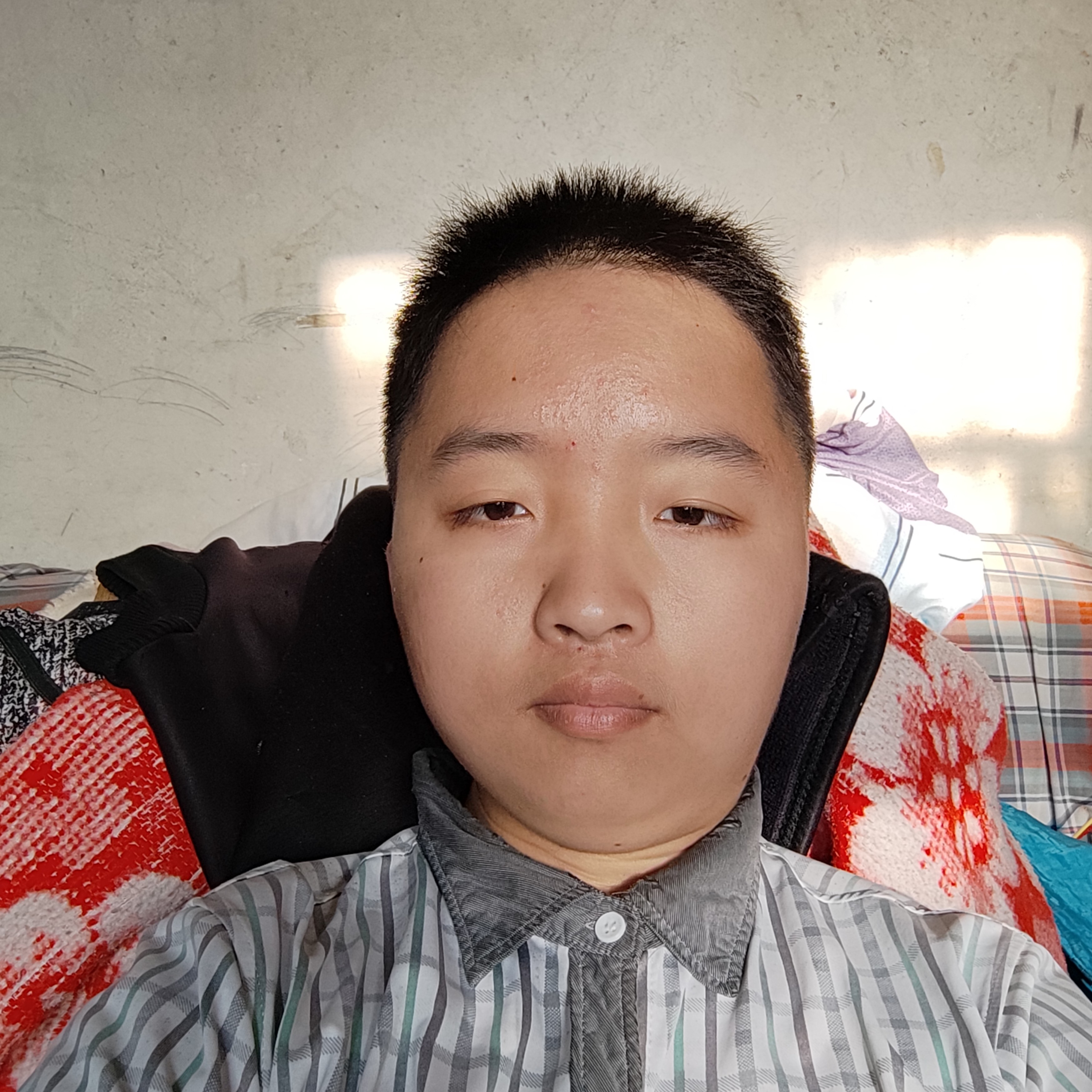 清爽回首斑马的照片