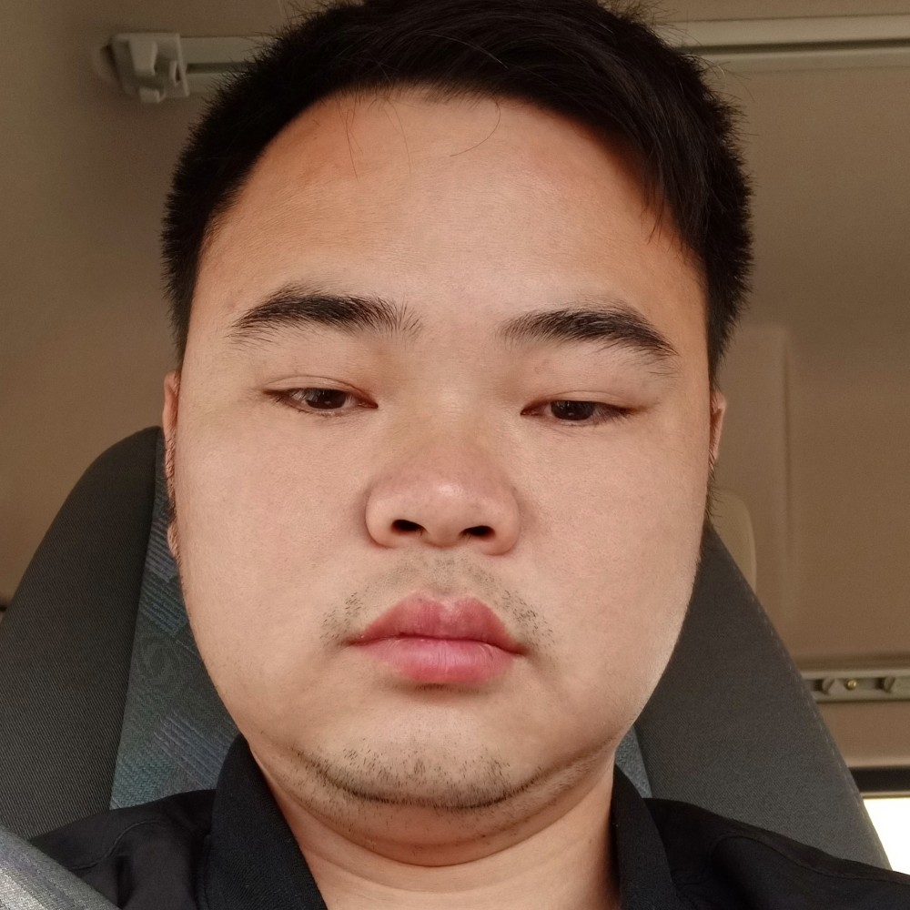 斑马优雅的照片