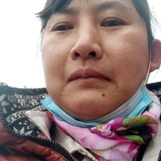 小熊猫蹁跹时尚的照片