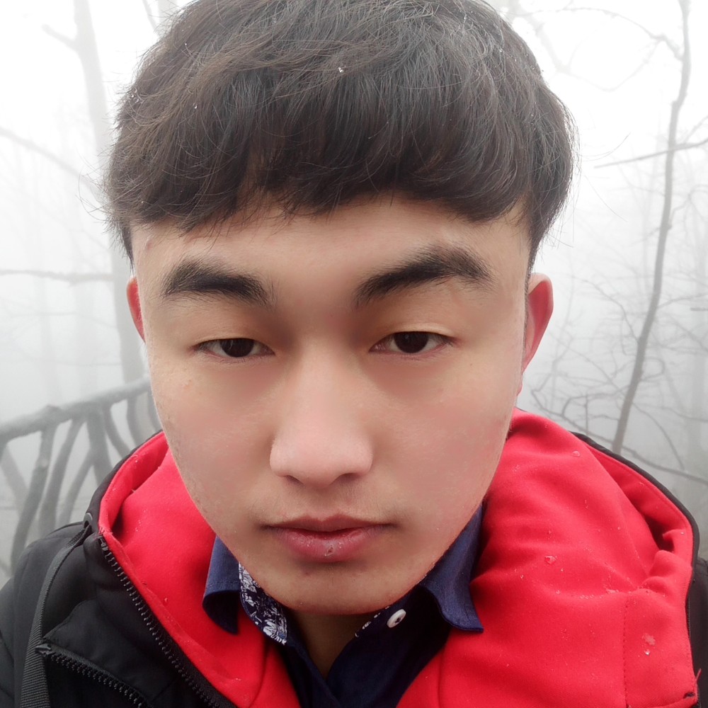 苹果請帆布鞋的照片
