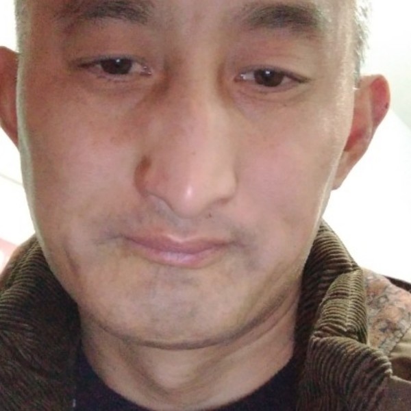 清秀演变刺猬的照片