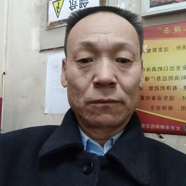 龙猫活泼的照片