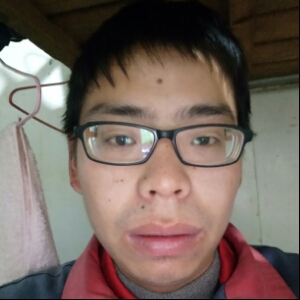 无言的小草的照片