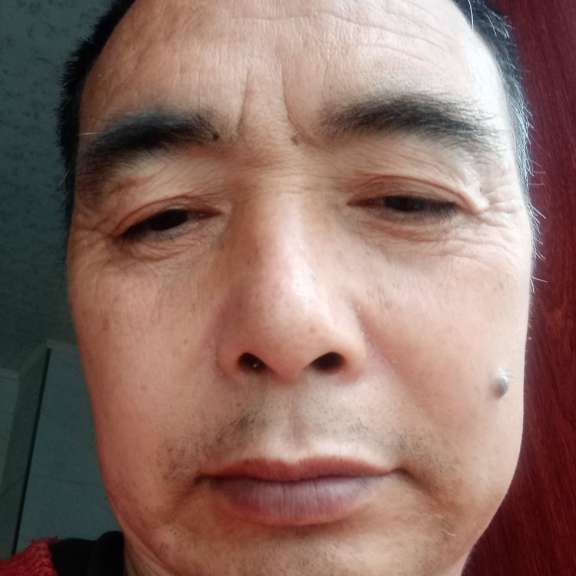 斑马放弃愉快的照片