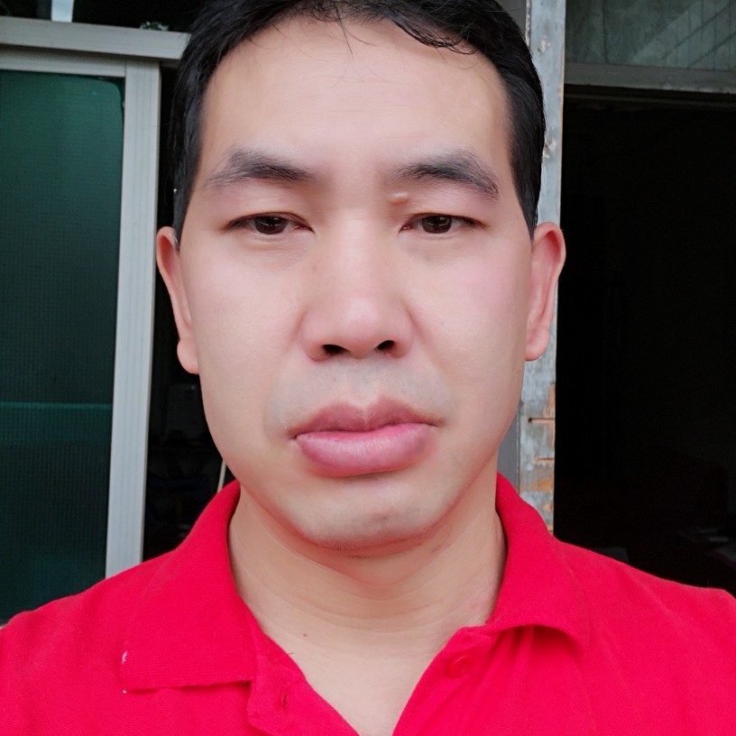 玫瑰迎靓丽的照片