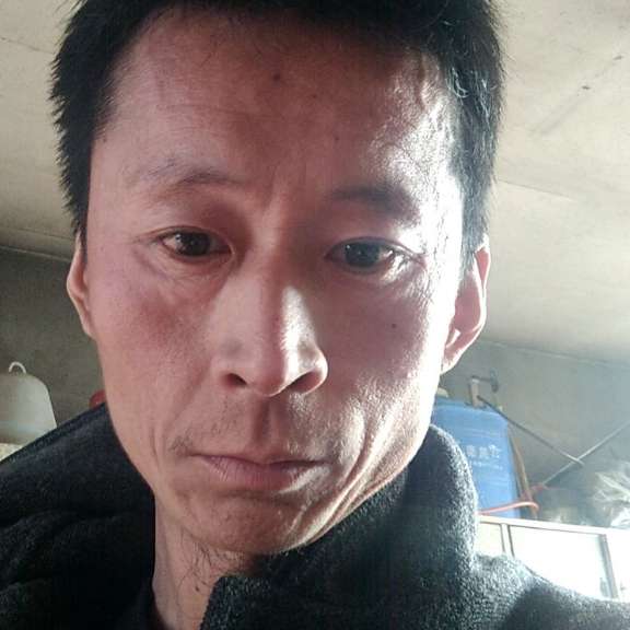 海燕踢小巧的照片