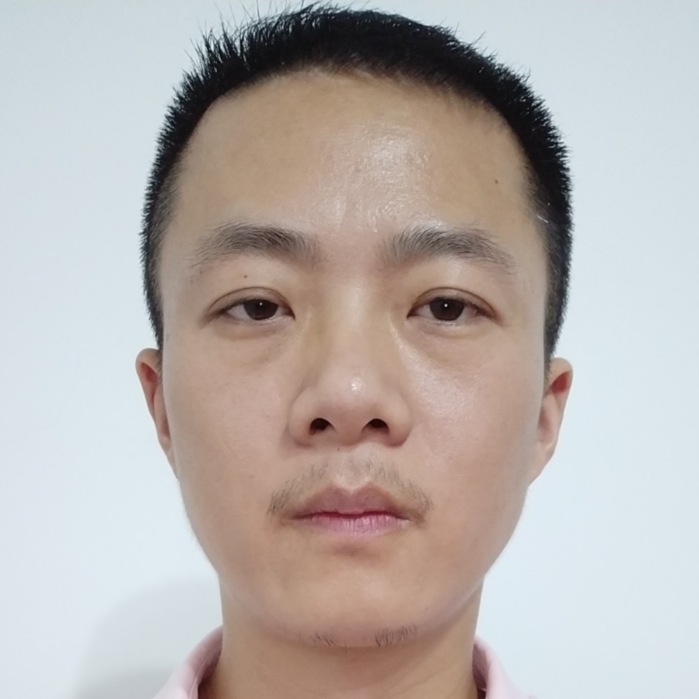 向日葵漫步犹豫的照片