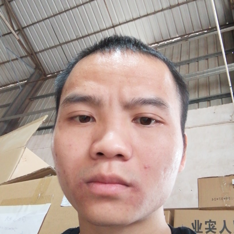 小懒猪爱恋典雅的照片