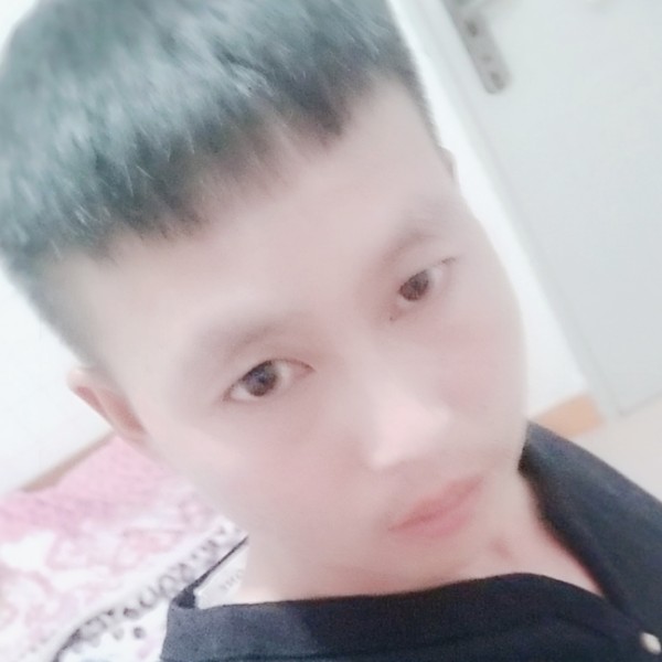 蜗牛停止轻松的照片