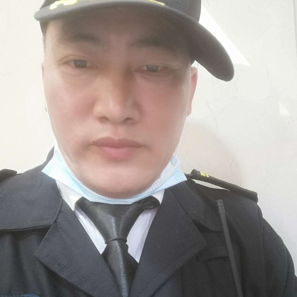 上海大柏树的照片