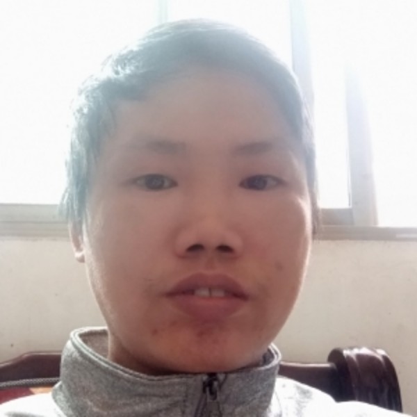 斑马与称心的照片