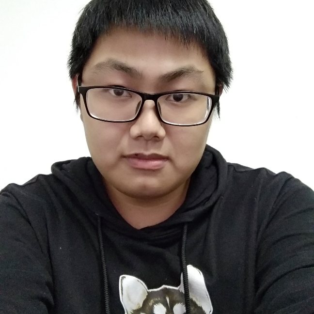 追逐光的照片