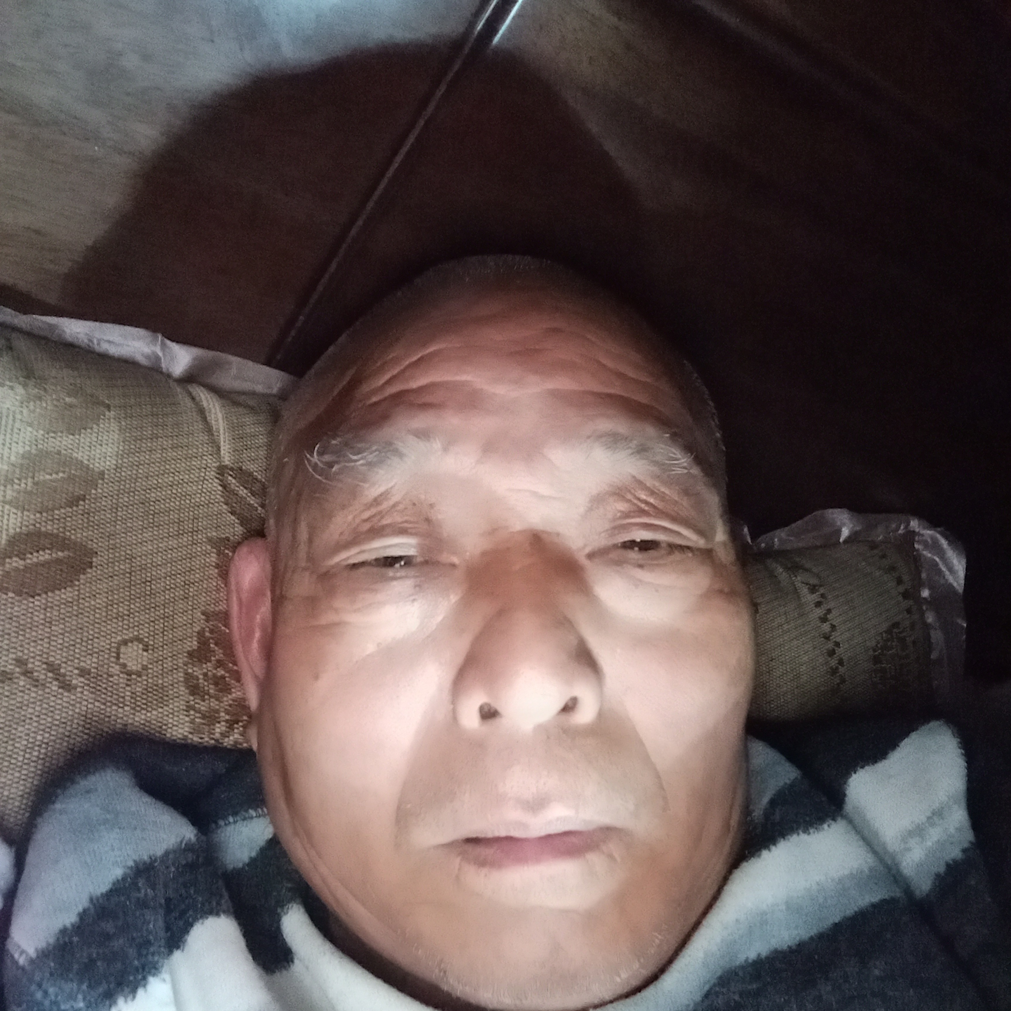 朴实给花瓣的照片