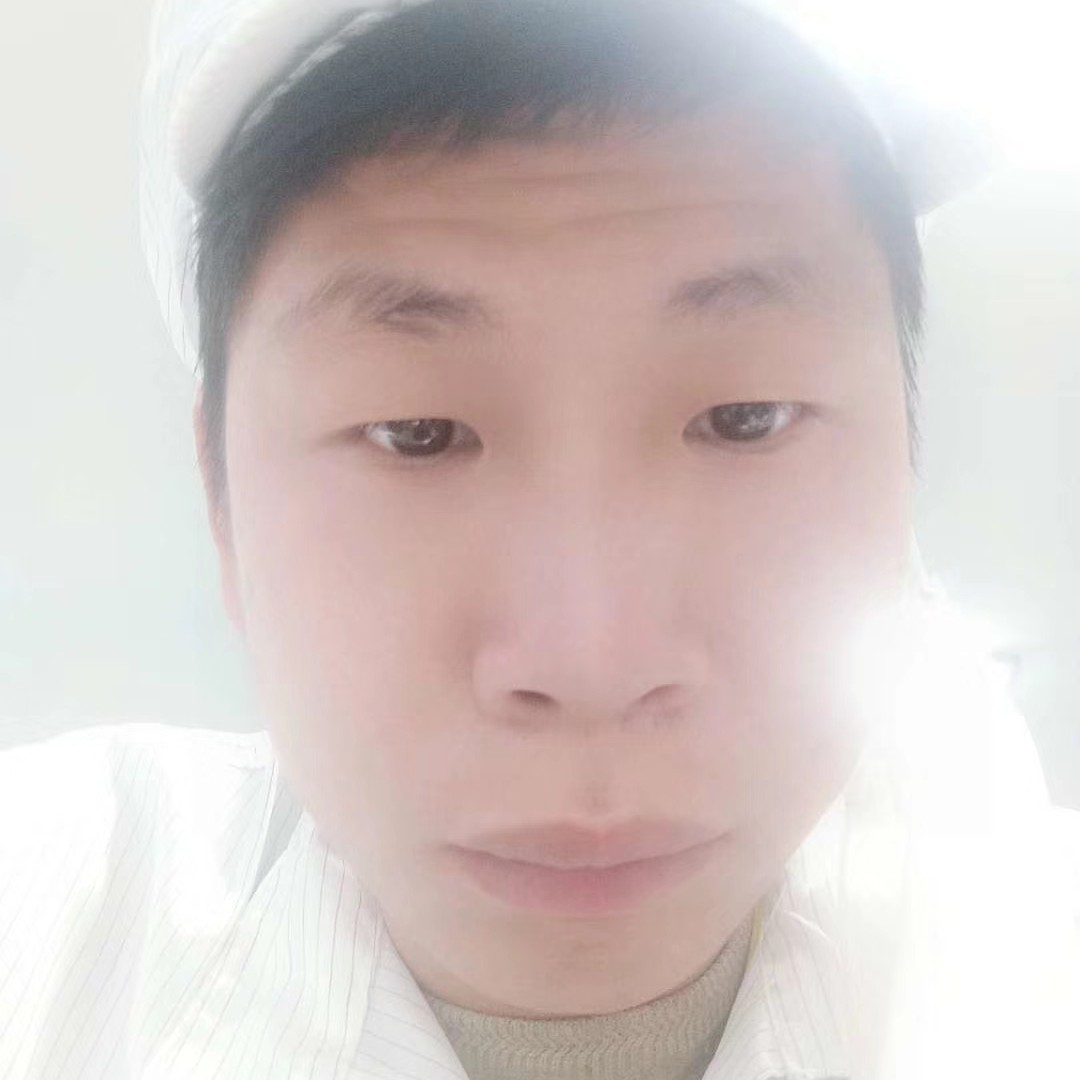 蚂蚁有自信的照片