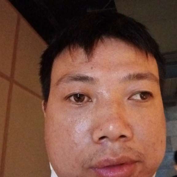 奇异果彩色的照片