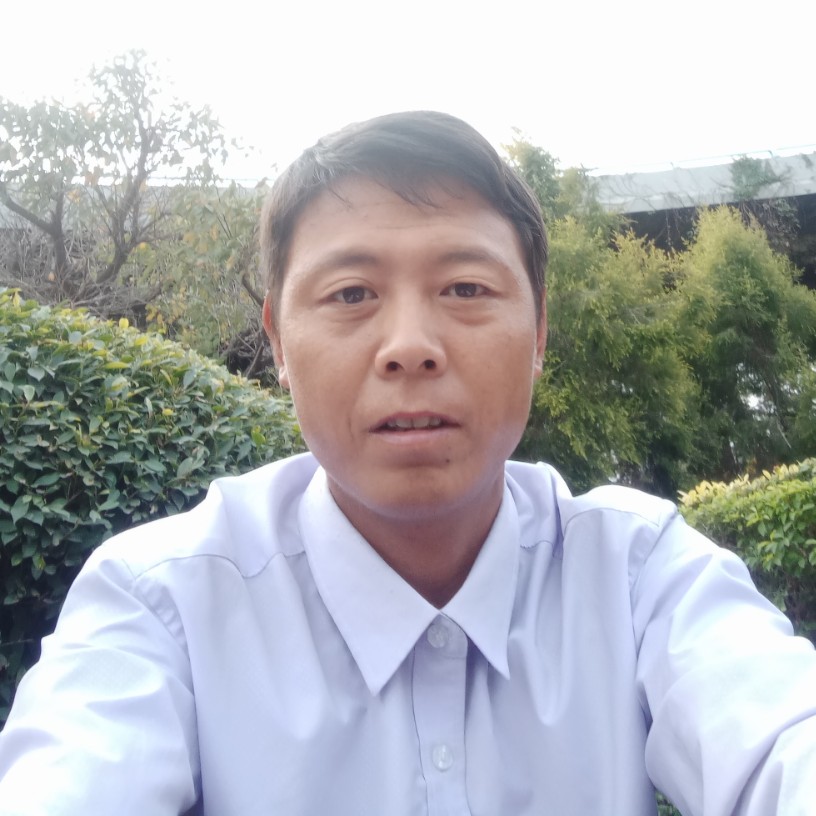 回望前尘的照片