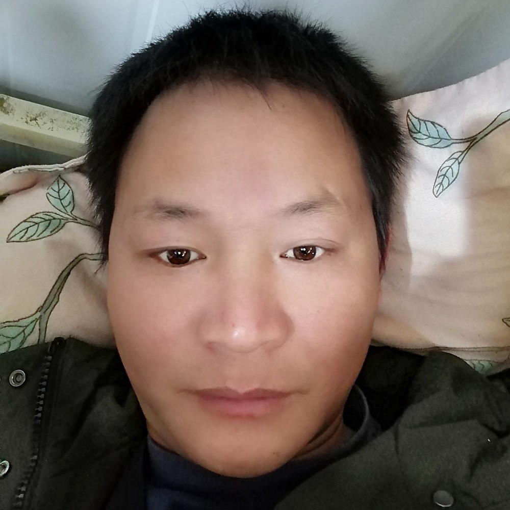 诺言保卫安静的照片