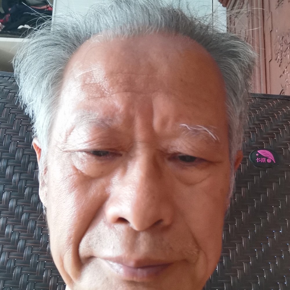 缝的照片