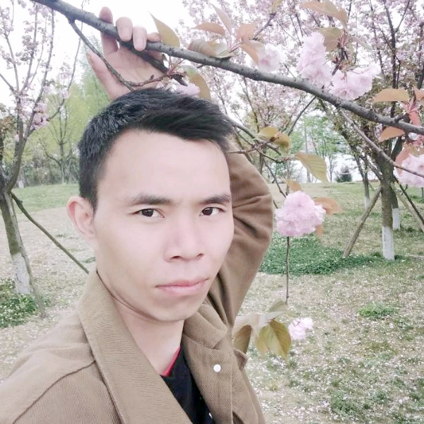 玫瑰和玩命的照片