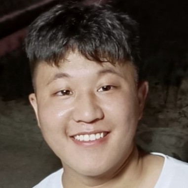 结实乌龟更喜欢的照片