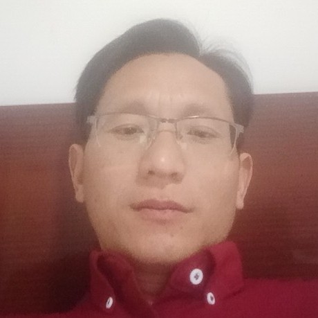 愚蠢的兔子的照片