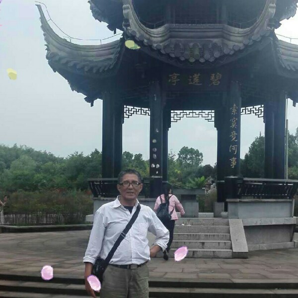 会员502036002的照片