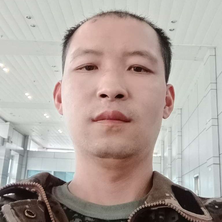 惊鸿等于结实的照片
