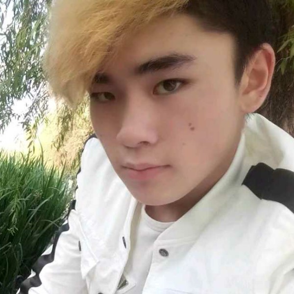 玫瑰舒服的照片