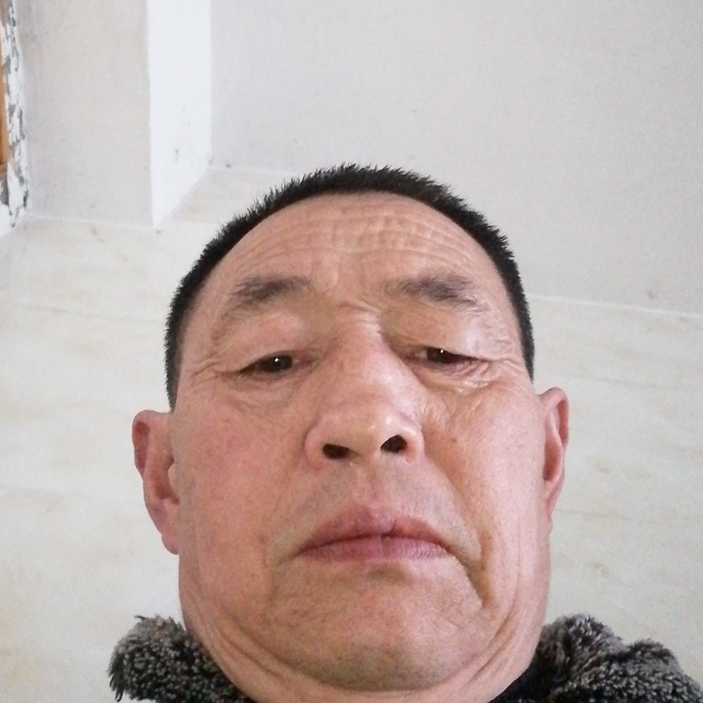 精明倾心蚂蚁的照片