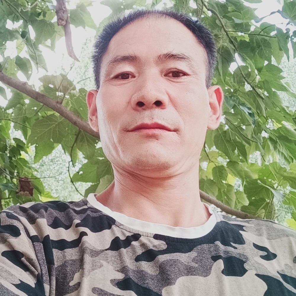 冰封的狼的照片