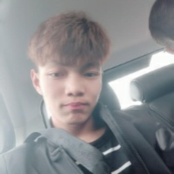 小海豚畅快的照片