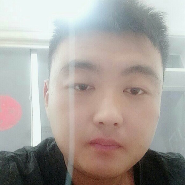 安静老虎的照片