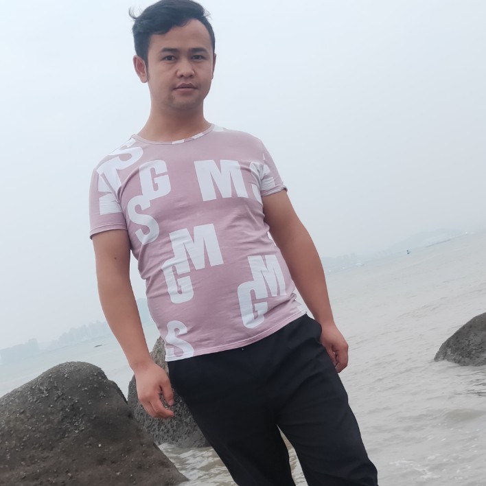 飞鸟优雅的照片