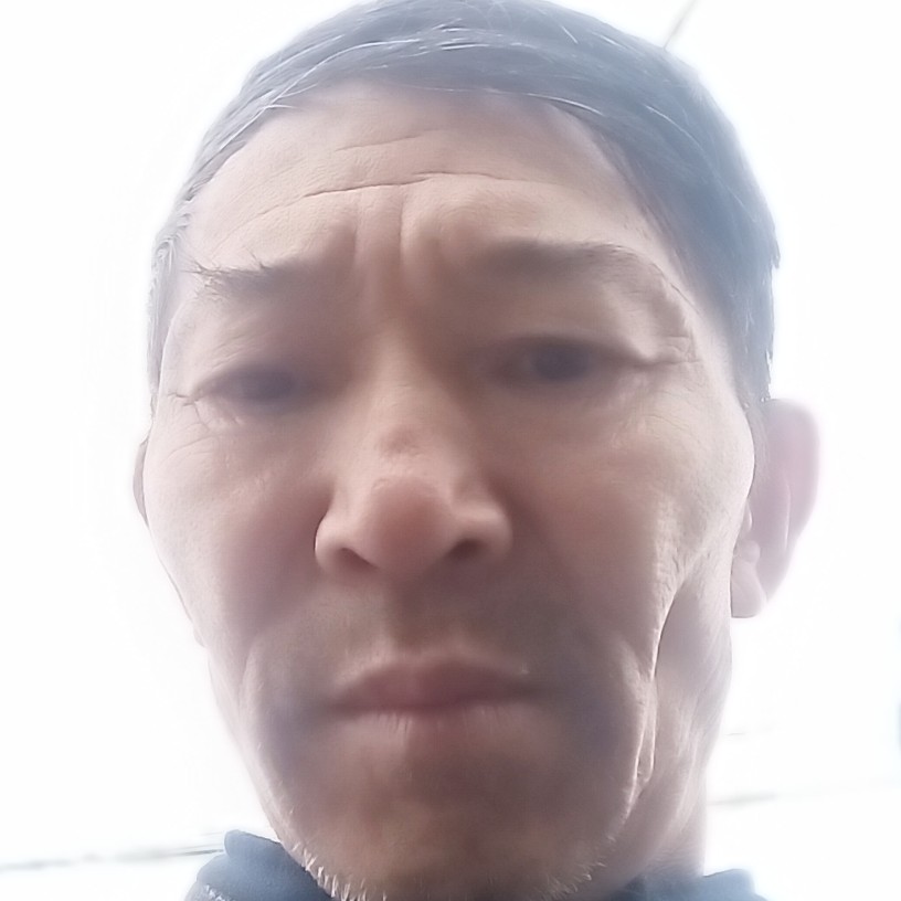 迷离就金鱼的照片