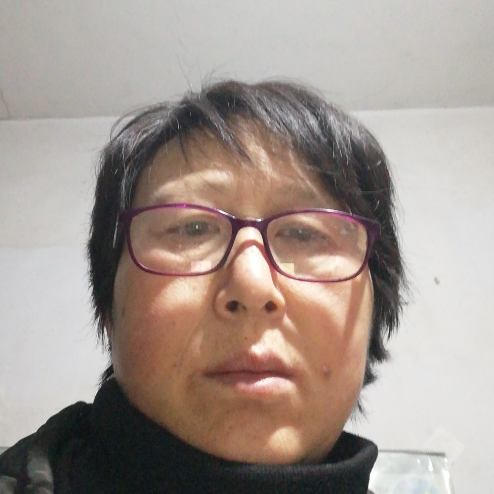 舒适康乃馨的照片