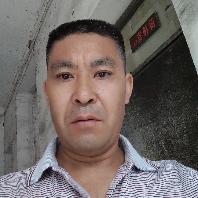 凤平浪静的照片