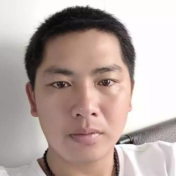 小白菜干净的照片