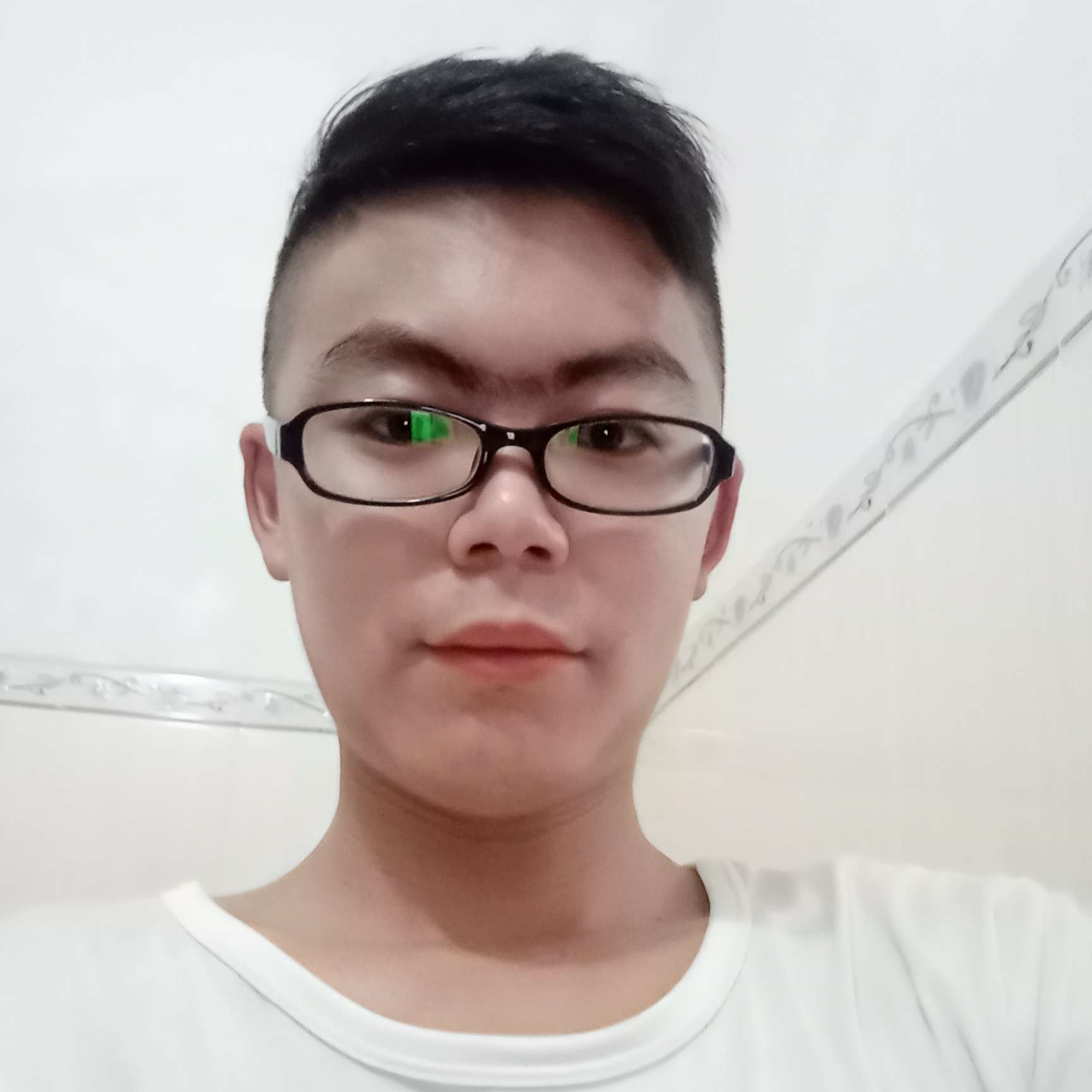 杨陆的照片