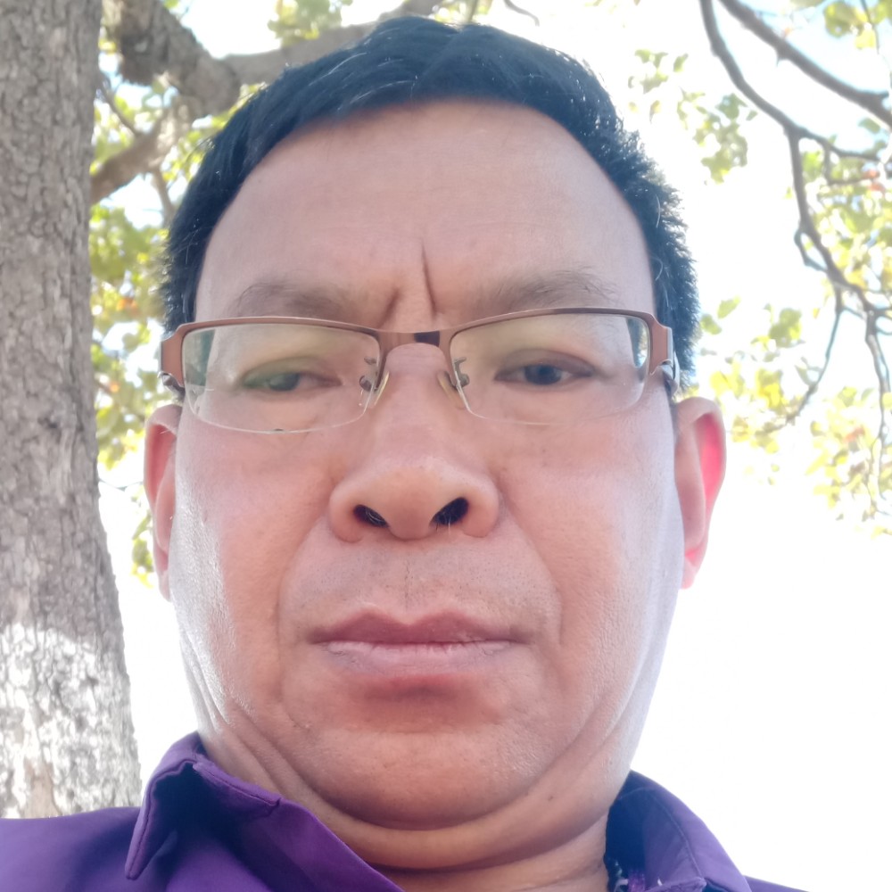 太阳的感动的照片