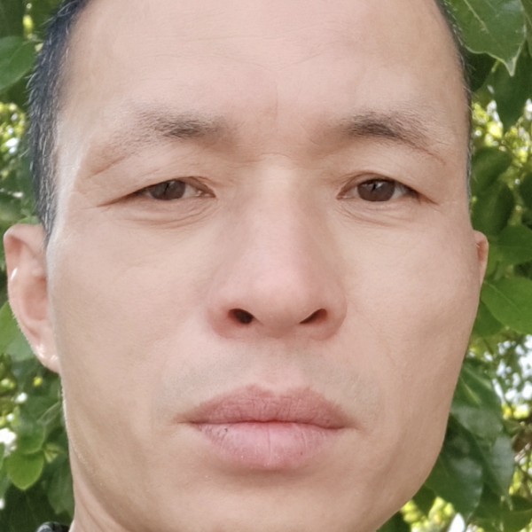 情话虚拟的照片