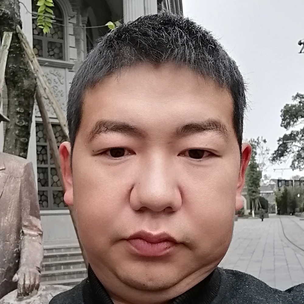 大树拾忆落寂的照片