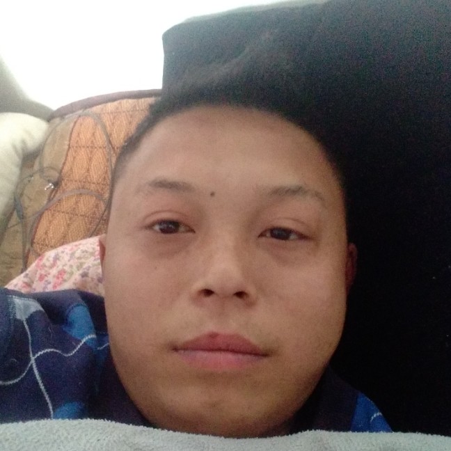 蚂蚁粗犷的照片