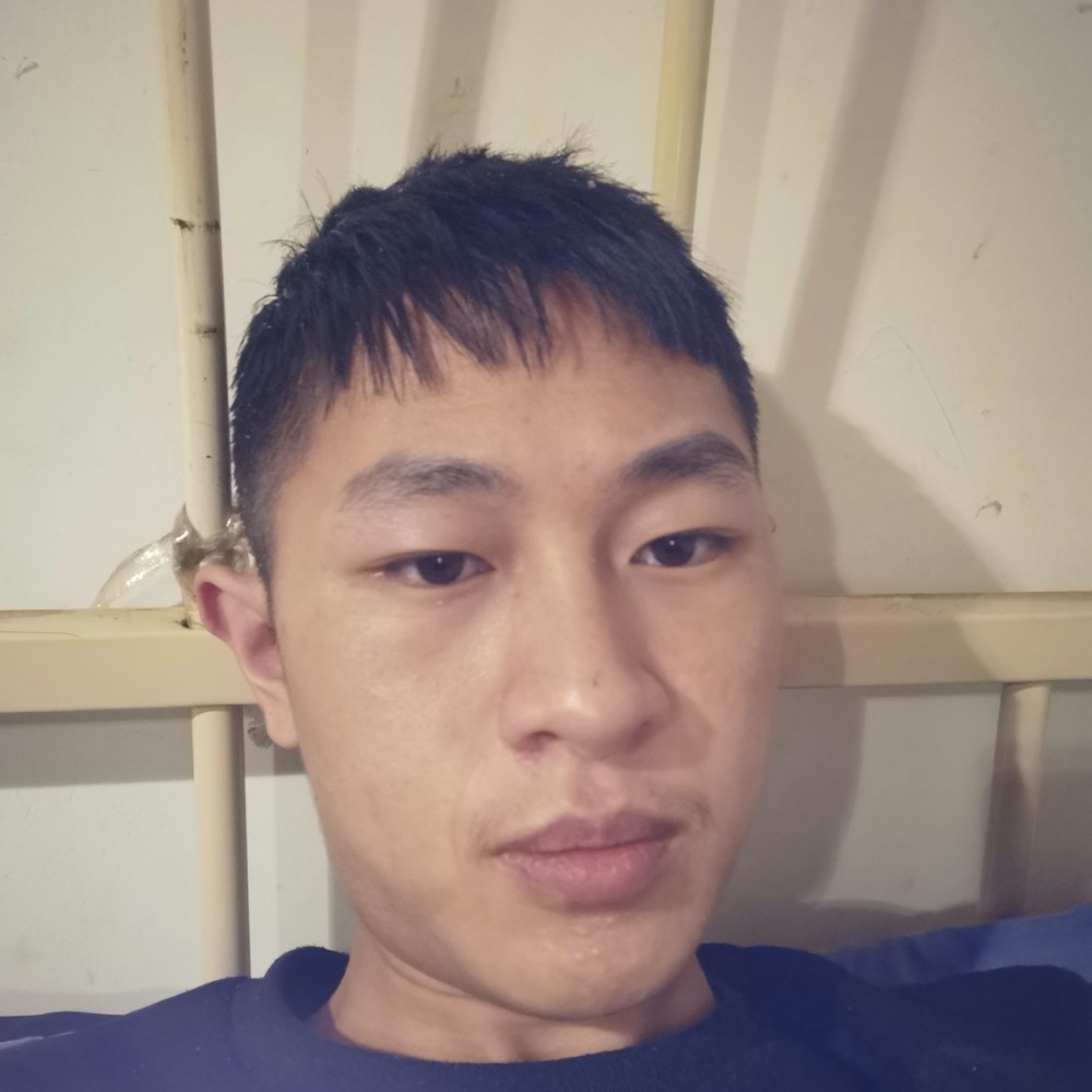 向日葵欣喜的照片