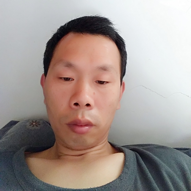蝶舞蹁跹斯文的照片