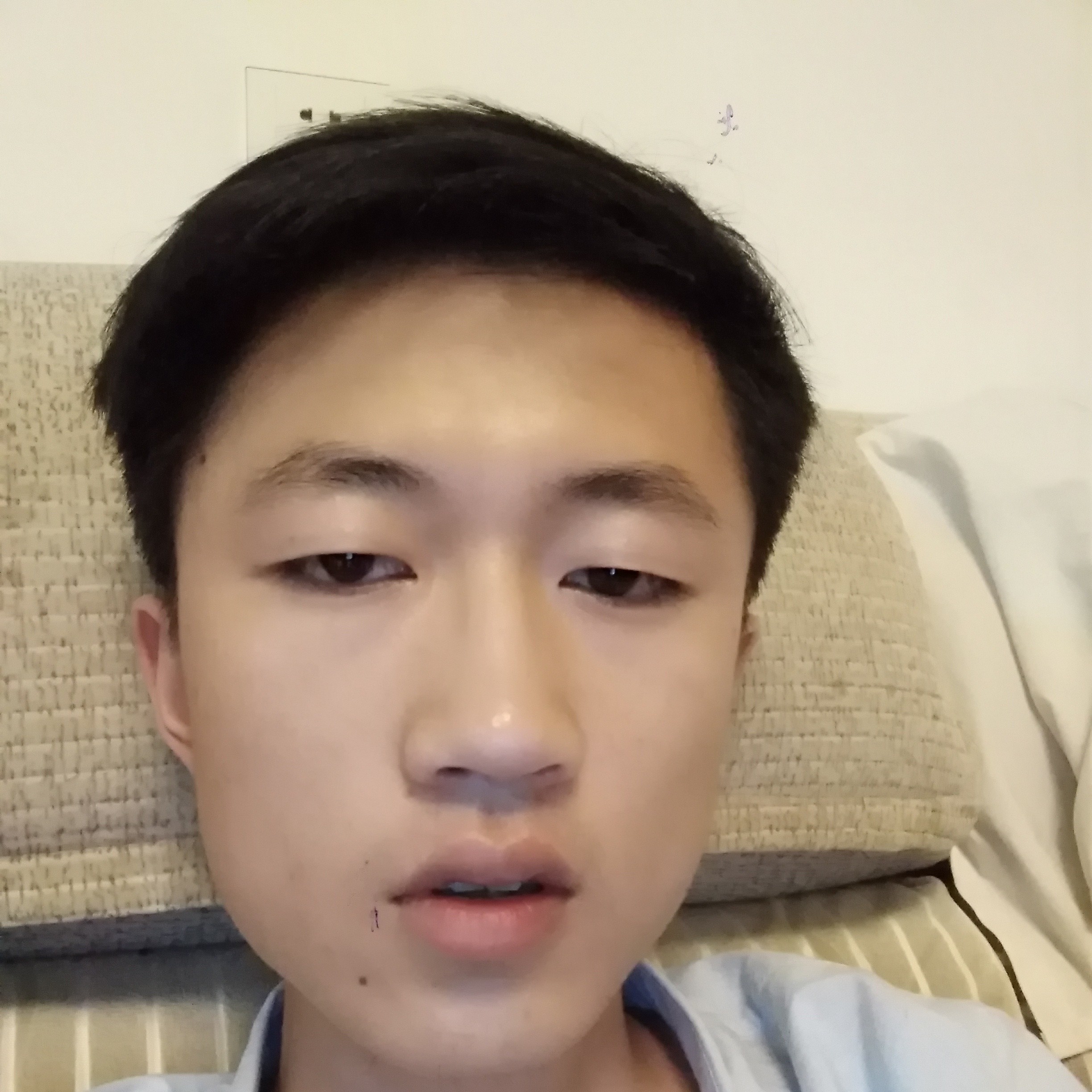 康乃馨拿深情的照片
