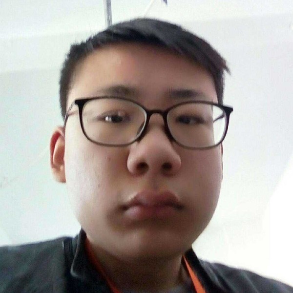 欢喜乌龟的照片