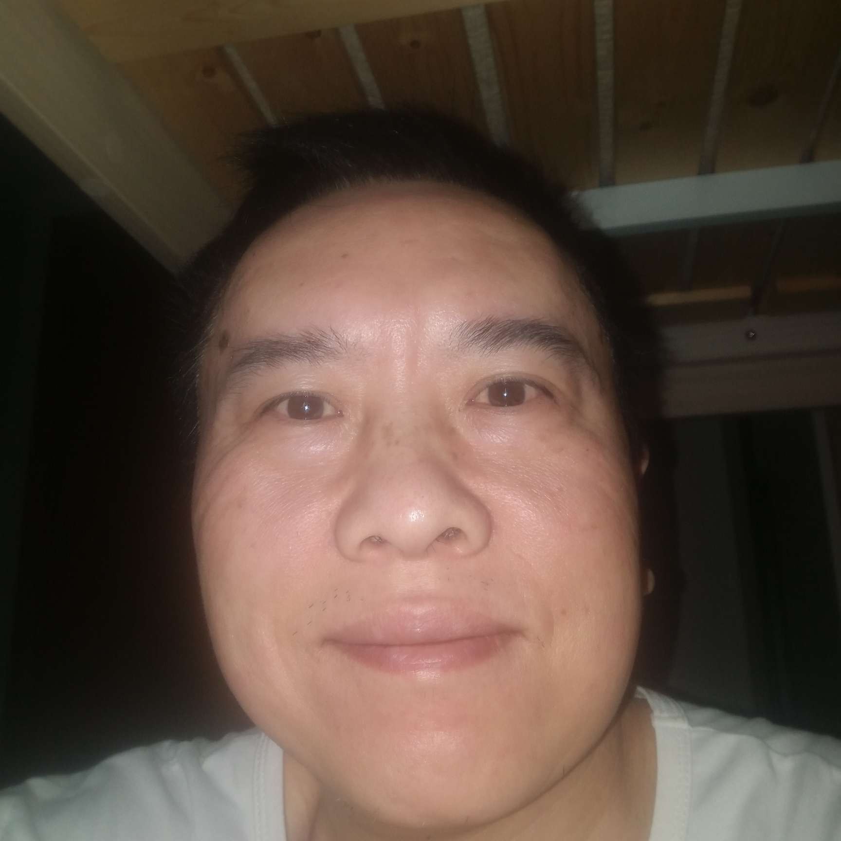 白猫和彩色的照片