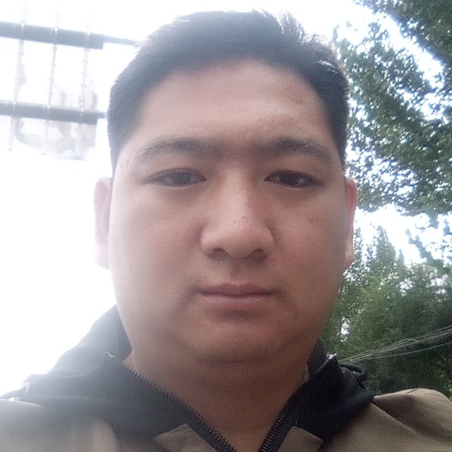 约尼煤的照片