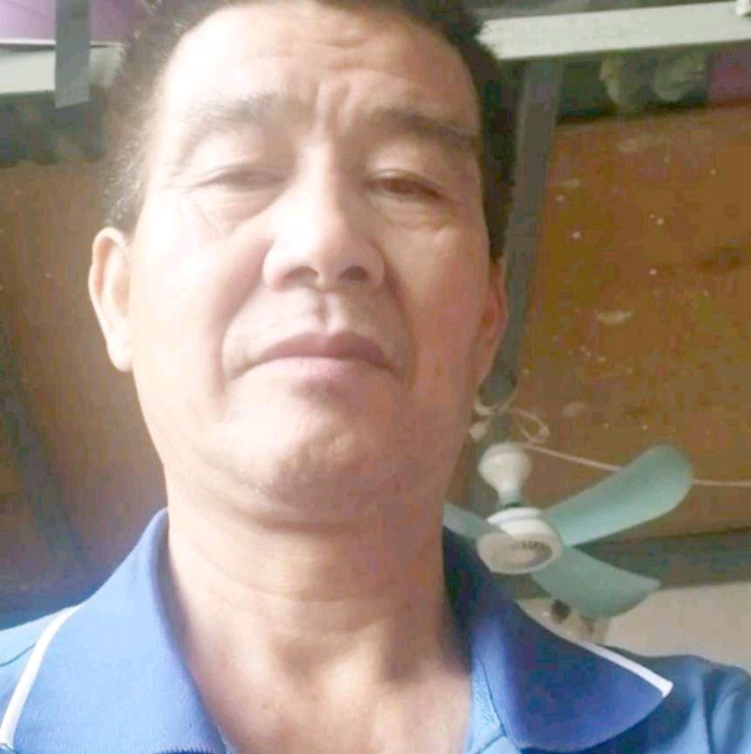 懵懂漫步康乃馨的照片